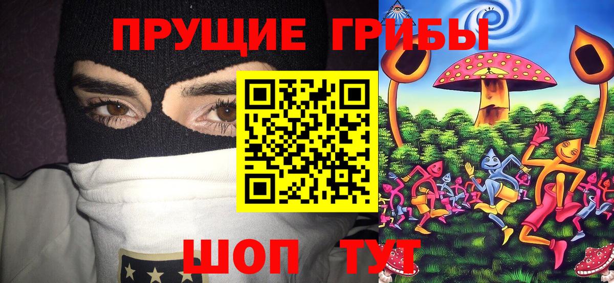 Галлюциногенные грибы Cubensis Димитровград